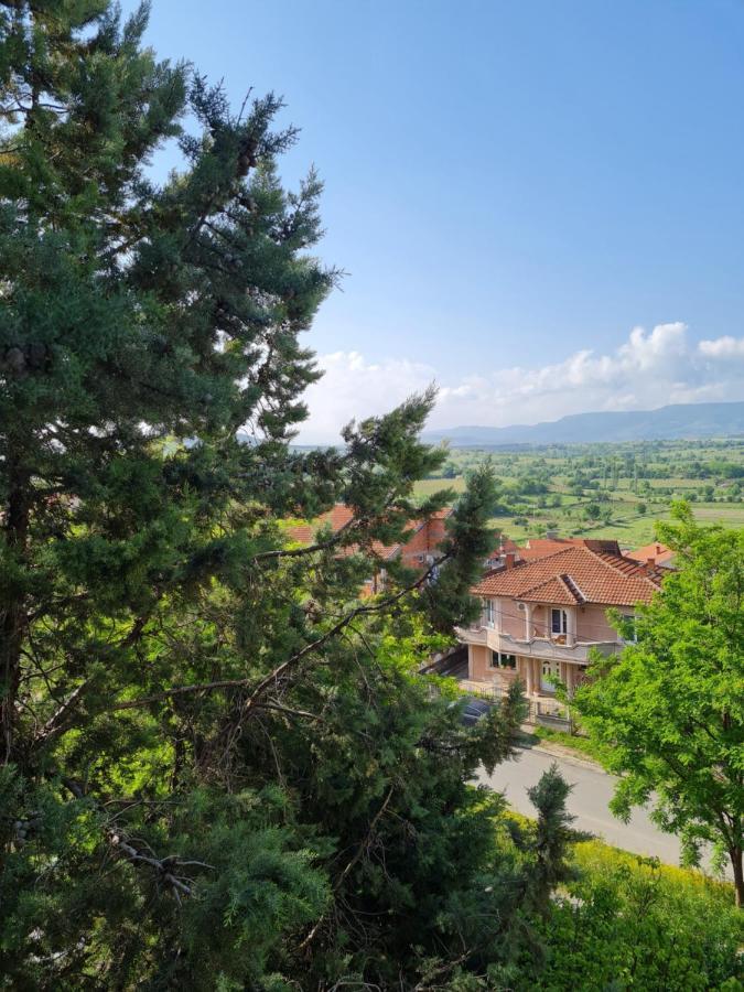 Bojana Apartment Negotino  Exterior photo